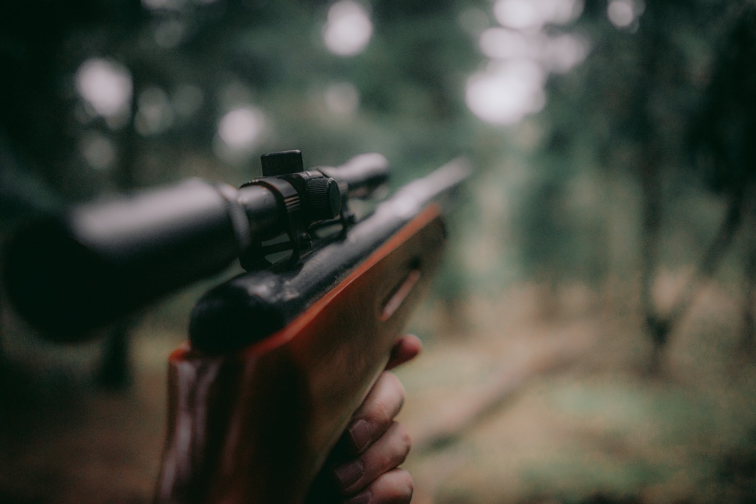 Vortex Crossfire II vs. Leupold VX-Freedom: